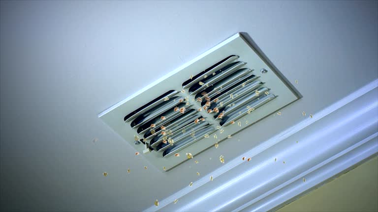 Best Ductwork Cleaning Services  in East Berlin, PA