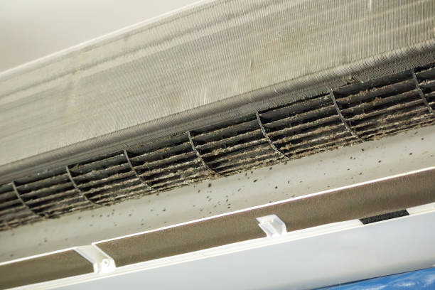 Best Air Duct Cleaning Company Near Me  in East Berlin, PA